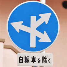 異形矢印標識(指定方向外進行禁止)。広島県広島市にある。