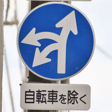 異形矢印標識(指定方向外進行禁止)。広島県広島市にある。