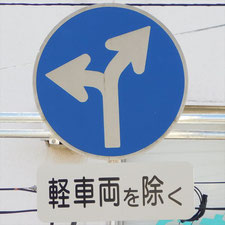 異形矢印標識(指定方向外進行禁止)。静岡県浜松市にある。