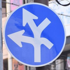 異形矢印標識(指定方向外進行禁止)。東京都練馬区にある。