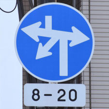 異形矢印標識(指定方向外進行禁止)。東京都中央区にある。
