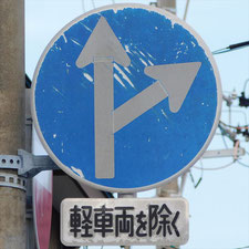 異形矢印標識(指定方向外進行禁止)。静岡県浜松市にある。