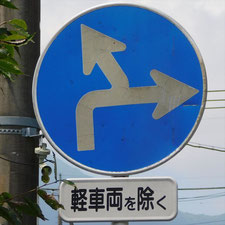 異形矢印標識(指定方向外進行禁止)。静岡県富士市にある。