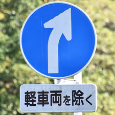 異形矢印標識(指定方向外進行禁止)。静岡県伊東市にある。