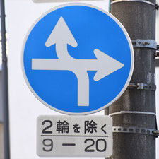 異形矢印標識(指定方向外進行禁止)。岡山県総社市にある。