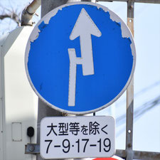 異形矢印標識(指定方向外進行禁止)。和歌山県和歌山市にある。