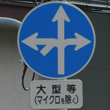 異形矢印標識(指定方向外進行禁止)。静岡県沼津市にある。