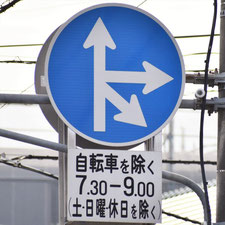 異形矢印標識(指定方向外進行禁止)。広島県府中町にある。