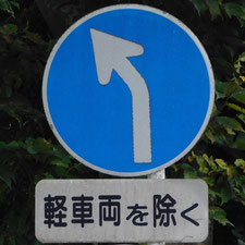 異形矢印標識(指定方向外進行禁止)。静岡県浜松市にある。