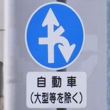 異形矢印標識(指定方向外進行禁止)。愛知県名古屋市にある。