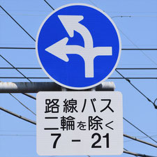 異形矢印標識(指定方向外進行禁止)。栃木県足利市にある。