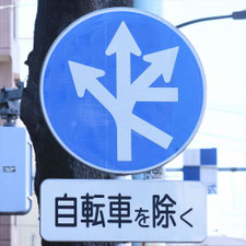 異形矢印標識(指定方向外進行禁止)。東京都目黒区にある。