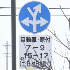 異形矢印標識(指定方向外進行禁止)。岐阜県岐南町にある。