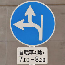 異形矢印標識(指定方向外進行禁止)。広島県広島市にある。