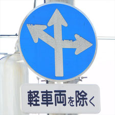 異形矢印標識(指定方向外進行禁止)。静岡県浜松市にある。