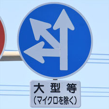 異形矢印標識(指定方向外進行禁止)。静岡県浜松市にある。