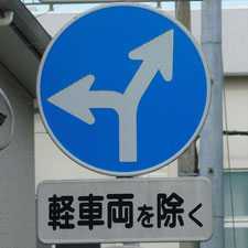 異形矢印標識(指定方向外進行禁止)。静岡県伊豆の国市にある。
