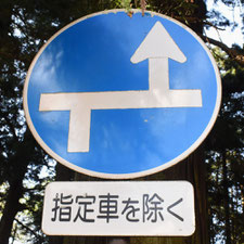 異形矢印標識(指定方向外進行禁止)。栃木県日光市にある。