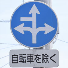 異形矢印標識(指定方向外進行禁止)。茨城県土浦市にある。