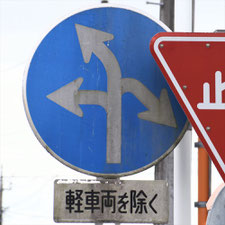 異形矢印標識(指定方向外進行禁止)。静岡県富士宮市にある。
