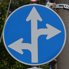 異形矢印標識(指定方向外進行禁止)。千葉県千葉市にある。