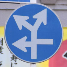 異形矢印標識(指定方向外進行禁止)。東京都目黒区にある。