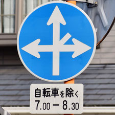 異形矢印標識(指定方向外進行禁止)。広島県広島市にある。