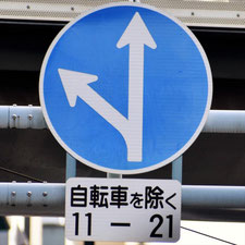 異形矢印標識(指定方向外進行禁止)。広島県広島市にある。