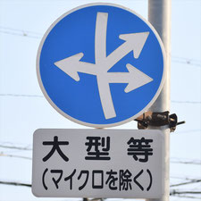 異形矢印標識(指定方向外進行禁止)。三重県桑名市にある。