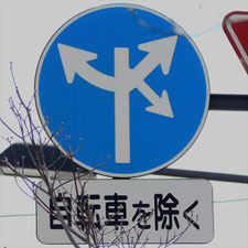 異形矢印標識(指定方向外進行禁止)。岡山県岡山市北区にある。