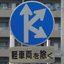 異形矢印標識(指定方向外進行禁止)。静岡県浜松市にある。