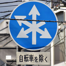 異形矢印標識(指定方向外進行禁止)。広島県広島市にある。