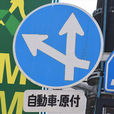 異形矢印標識(指定方向外進行禁止)。長野県軽井沢町にある。