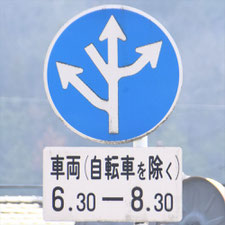 異形矢印標識(指定方向外進行禁止)。広島県東広島市にある。