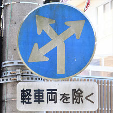 異形矢印標識(指定方向外進行禁止)。静岡県湖西市にある。