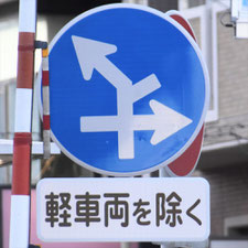 異形矢印標識(指定方向外進行禁止)。静岡県静岡市葵区にある。