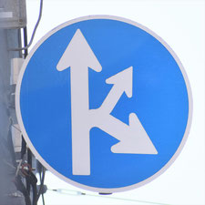 異形矢印標識(指定方向外進行禁止)。東京都板橋区にある。