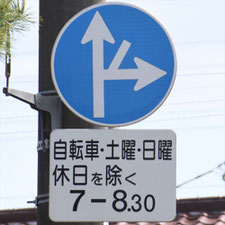 異形矢印標識(指定方向外進行禁止)。栃木県宇都宮市にある。