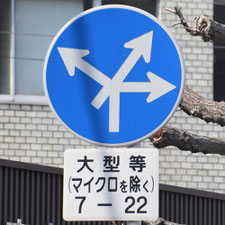 異形矢印標識(指定方向外進行禁止)。広島県呉市にある。