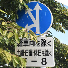 異形矢印標識(指定方向外進行禁止)。静岡県伊豆の国市にある。