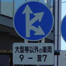 異形矢印標識(指定方向外進行禁止)。神奈川県川崎市幸区にある。