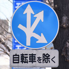異形矢印標識(指定方向外進行禁止)。群馬県桐生市にある。