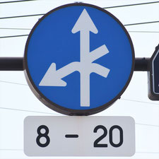 異形矢印標識(指定方向外進行禁止)。東京都葛飾区にある。