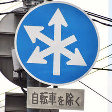 異形矢印標識(指定方向外進行禁止)。広島県広島市にある。