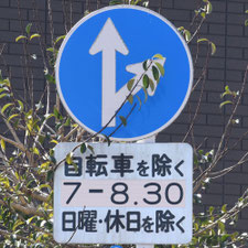 異形矢印標識(指定方向外進行禁止)。佐賀県鳥栖市にある。