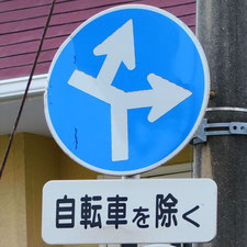 異形矢印標識(指定方向外進行禁止)。岡山県岡山市北区にある。