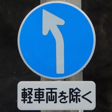 異形矢印標識(指定方向外進行禁止)。静岡県西伊豆町にある。
