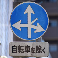 異形矢印標識(指定方向外進行禁止)。茨城県古河市にある。