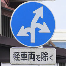 異形矢印標識(指定方向外進行禁止)。静岡県焼津市にある。