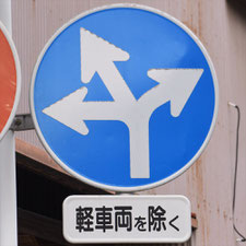 異形矢印標識(指定方向外進行禁止)。静岡県焼津市にある。